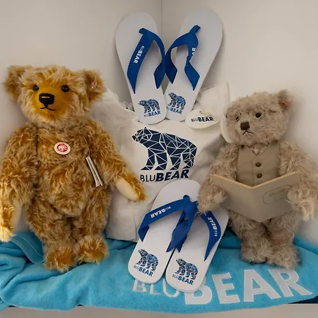 Blubear 4* Macari
